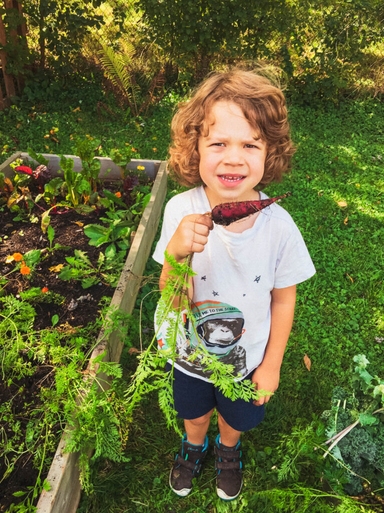 Young child smiling and proudly holding a freshly harvested carrot in a backyard vegetable garden bed, surrounded by leafy greens and sunshine.